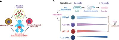 Role of innate T cells in necrotizing enterocolitis